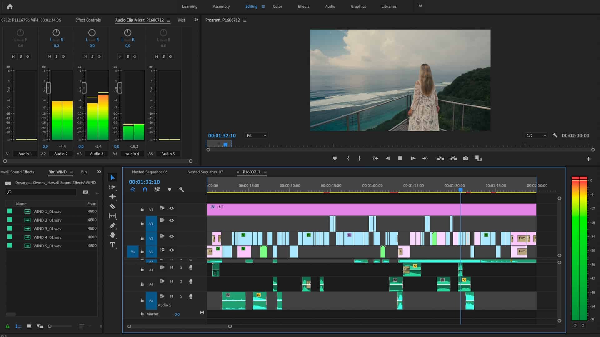 A client video being edited in Premiere Pro